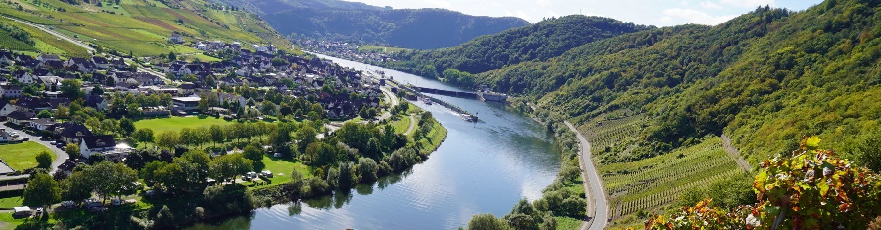 Blick auf die Mosel und die Weinberge bei Traben-Trarbach
