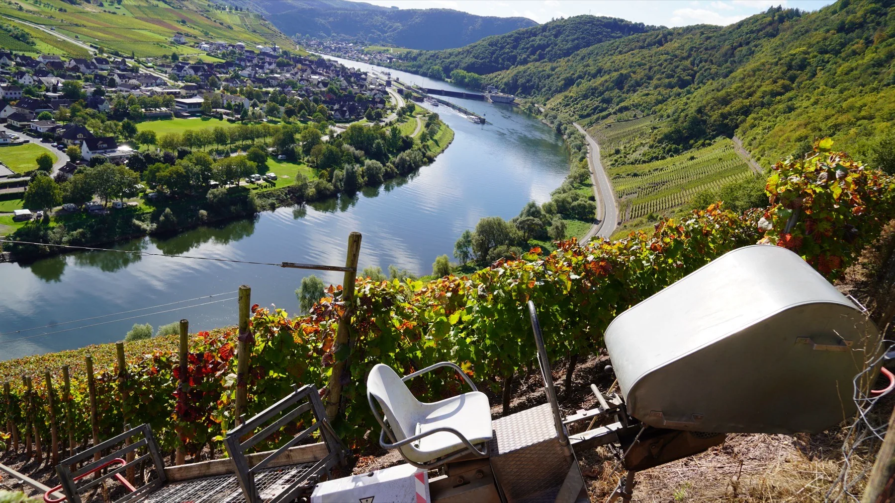 Weinberge an der Mosel bei Traben-Trarbach